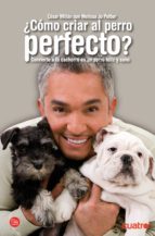 Como Criar Al Perro Perfecto